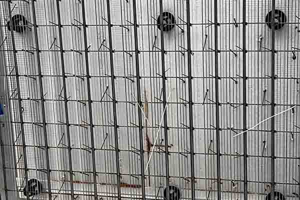 37公分钢筋网架墙体 | 农村自建房被动式建筑适用 | 超厚保温抗震墙体 | 瑞绿特厂家直供 - 建房产品